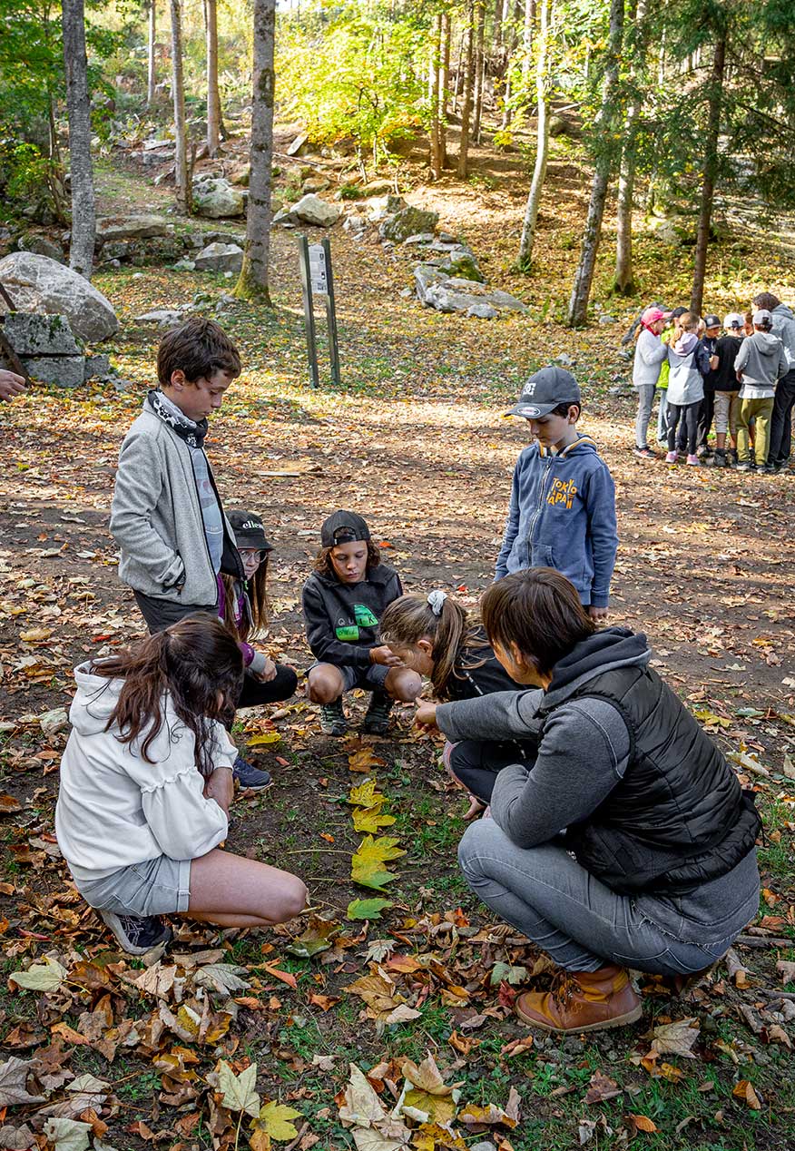 Faire l'école dehors