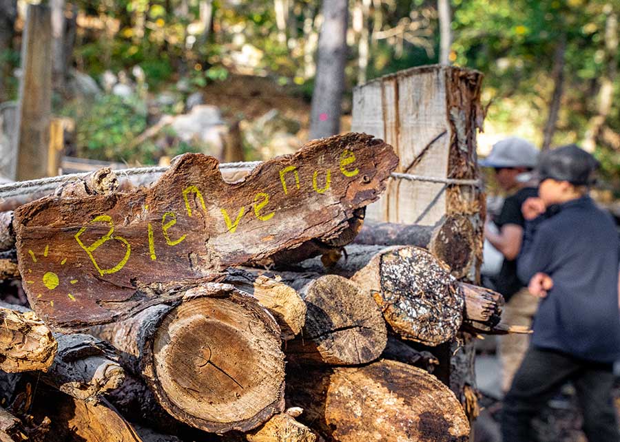 Un canapé forestier dans votre commune